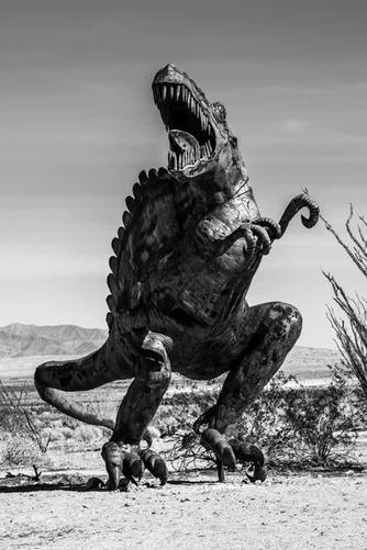 https://images.unsplash.com/photo-1548957537-31e688cb23b2?ixlib=rb-1.2.1&ixid=eyJhcHBfaWQiOjEyMDd9&auto=format&fit=crop&w=334&q=80