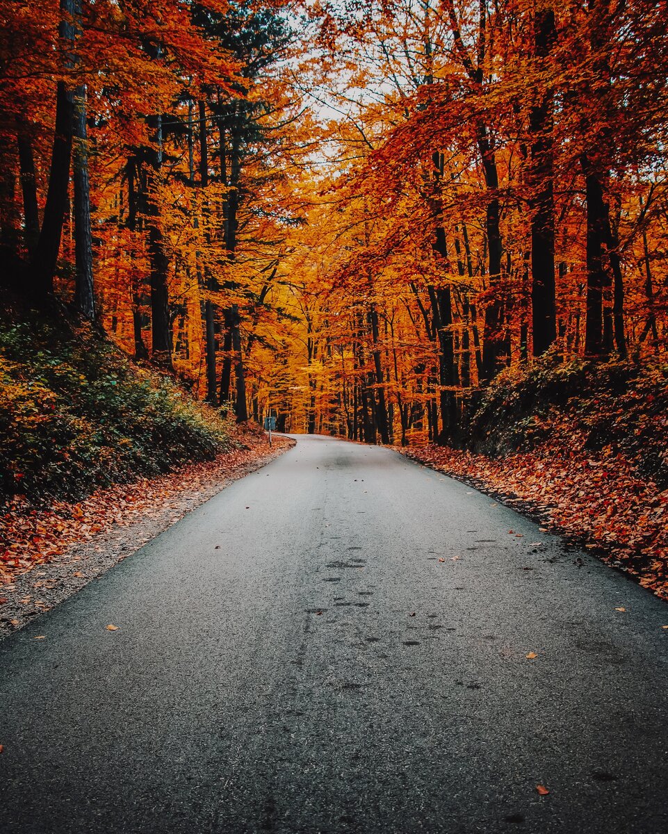 https://unsplash.com/photos/wITd9_eDTw8