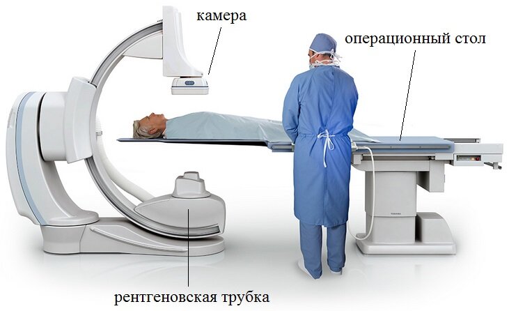 Источник:Яндекс картинки