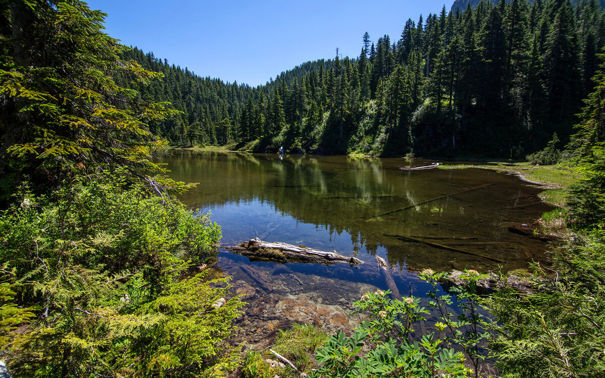 Настоящая, вполне реальная река Лета. https://s1.1zoom.ru/b5050/254/USA_Lake_Forests_Summer_457295_2880x1800.jpg