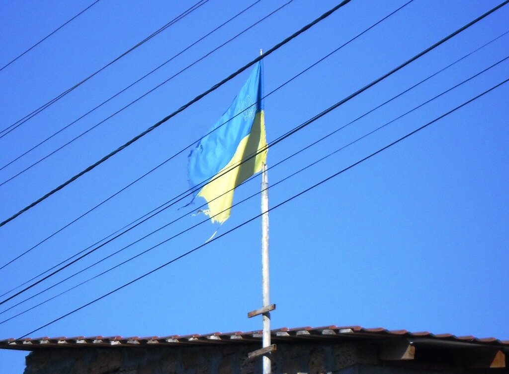 Фото автора.