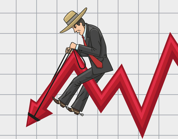 основываясь на мнении