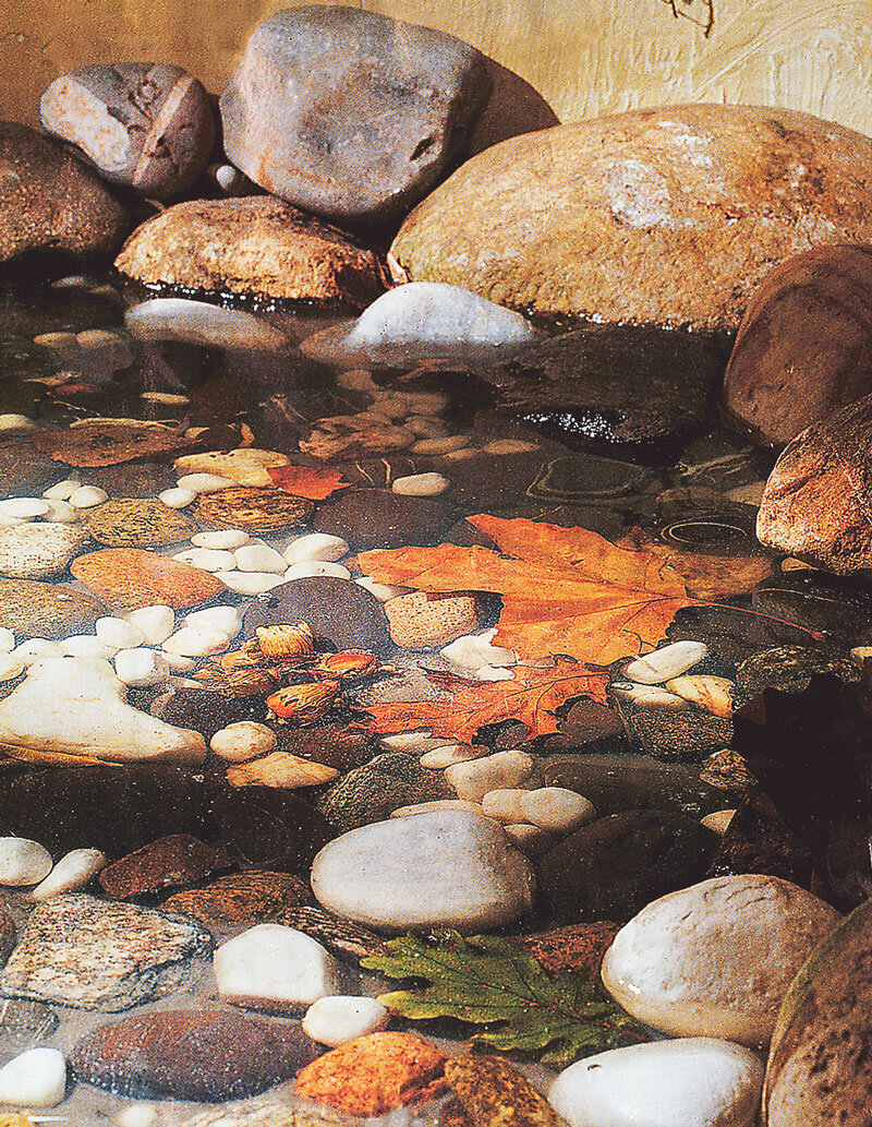 Под прозрачной гладью все детали становятся ярче