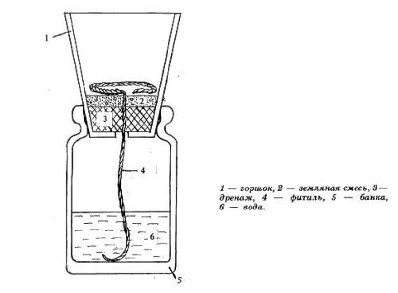        Фитильная система