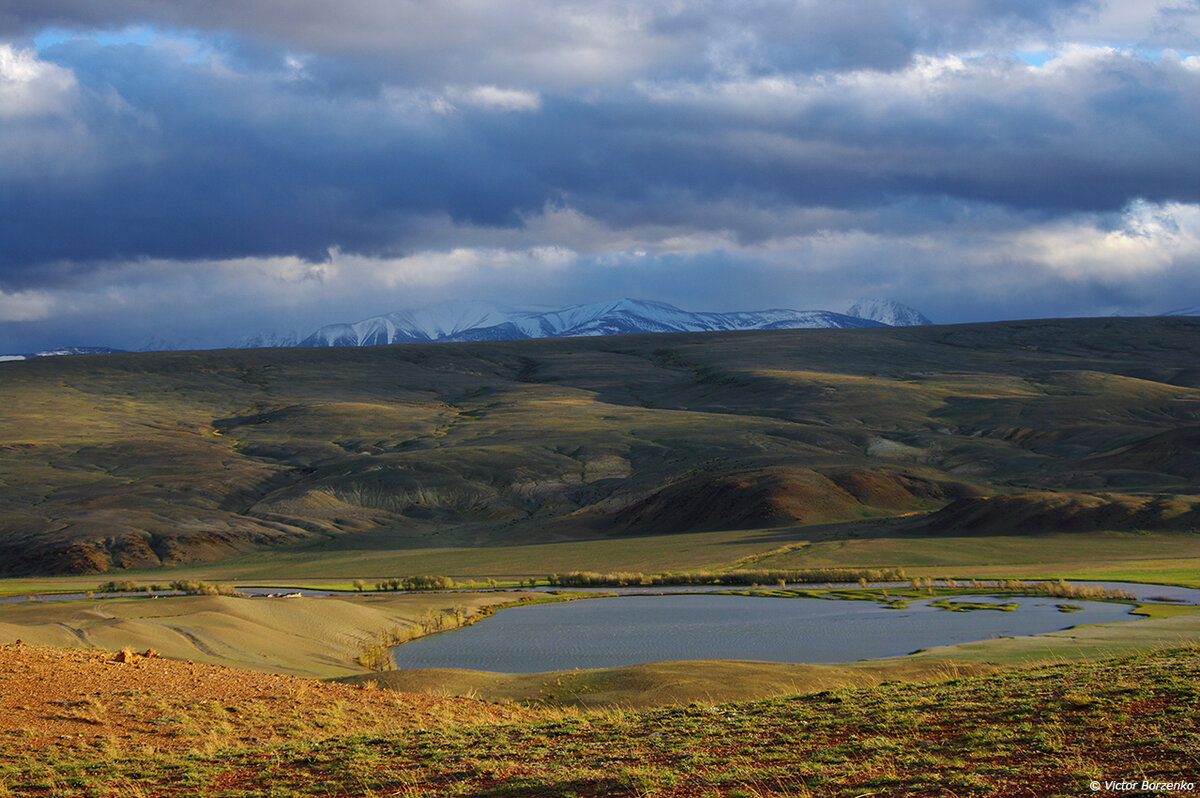 30 мая 2014. Кош-Агачский район.
