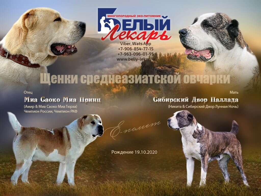 Анонс помета "Е". https://beliy-lekar.ru/