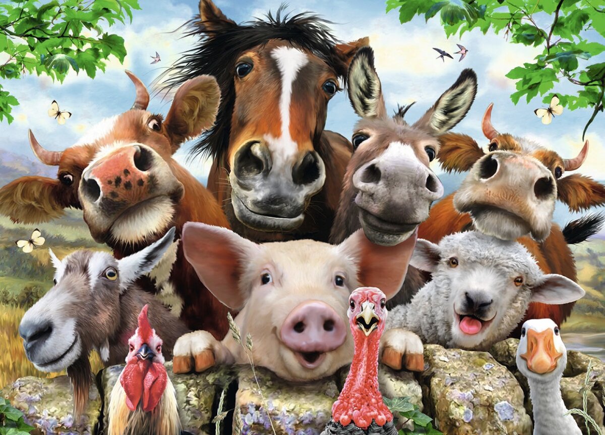 Разные животные