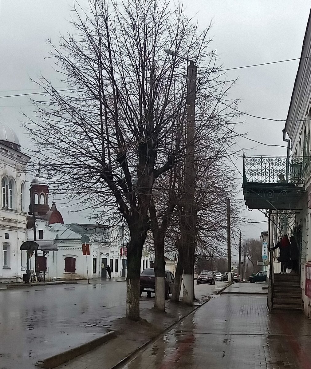 Дождливый октябрь. Фото автора канала.