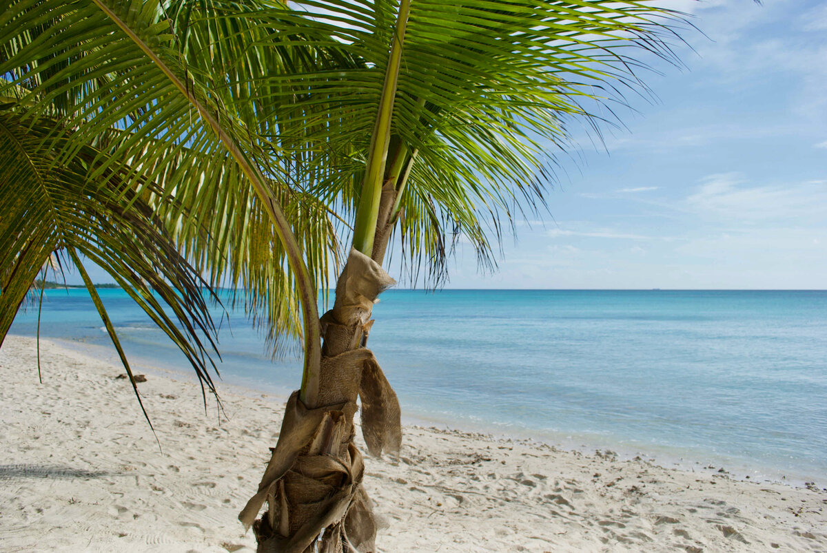 Остров Саона в Доминикане – здесь снимали знаменитую рекламу Баунти | Max  Travel | Дзен