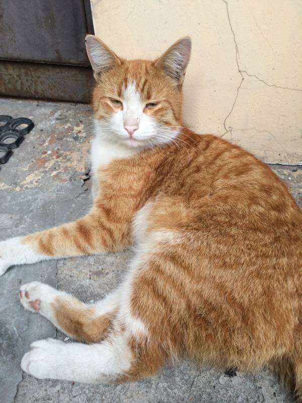 адрес иллюстрации https://proza.ru/2013/05/05/197