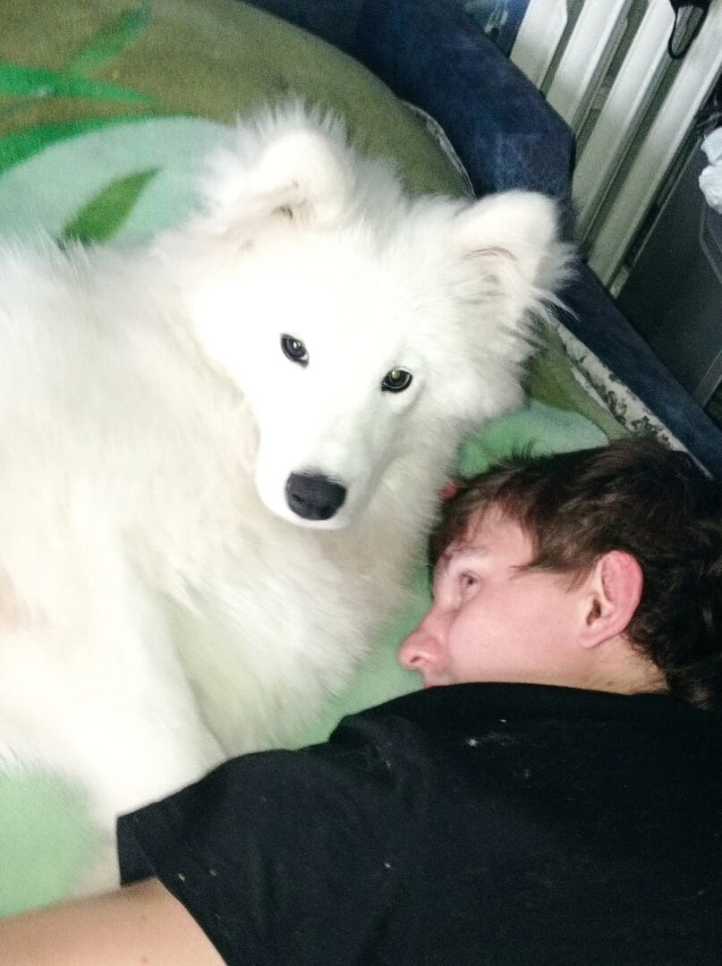 Я подзавис в обнимку с Альтом...