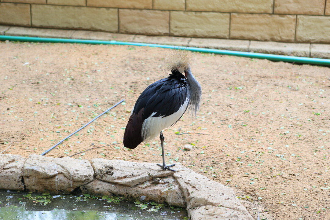https://ic.pics.livejournal.com/lazarevs_007/50099764/2503811/2503811_original.jpg
