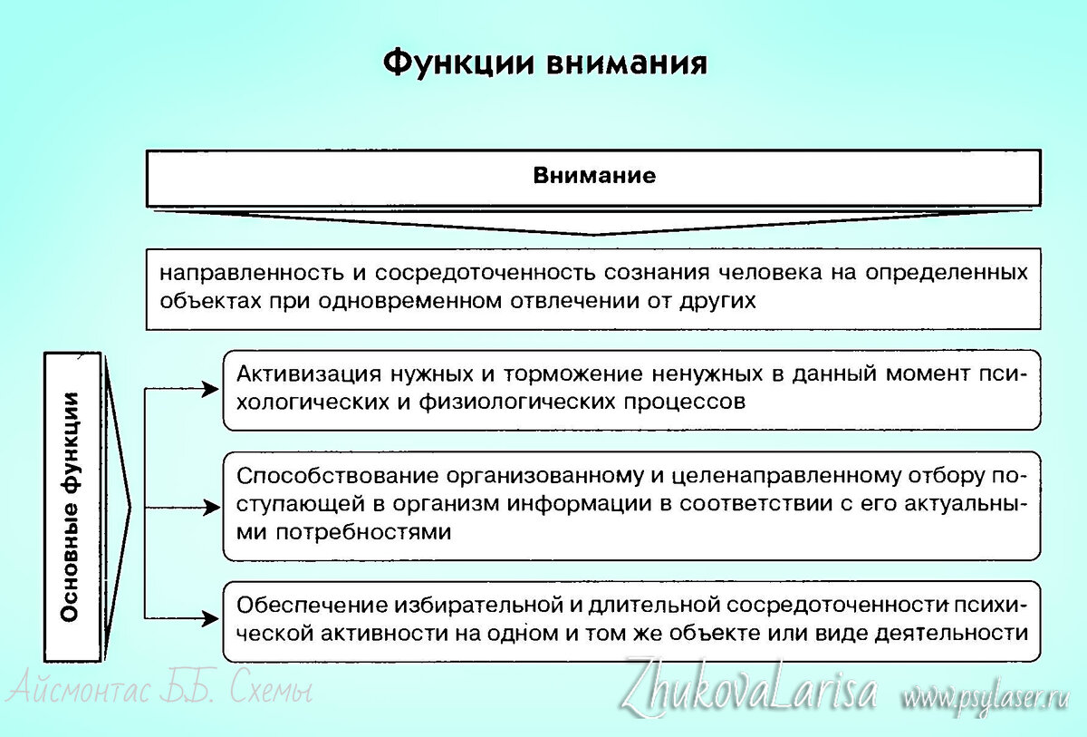 Тест процессов внимания. Тест на внимание и память психология. Тест процессов внимания. Тест процессов внимания. Оценка критериев выхода тестирования.