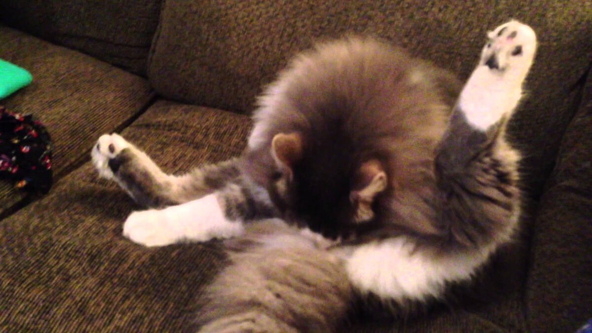 Яндекс-фото