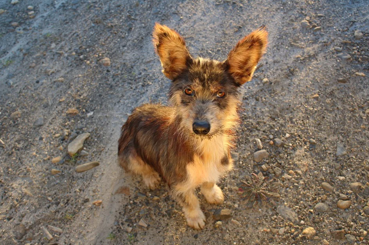 Редактировать галереюДобавьте описание