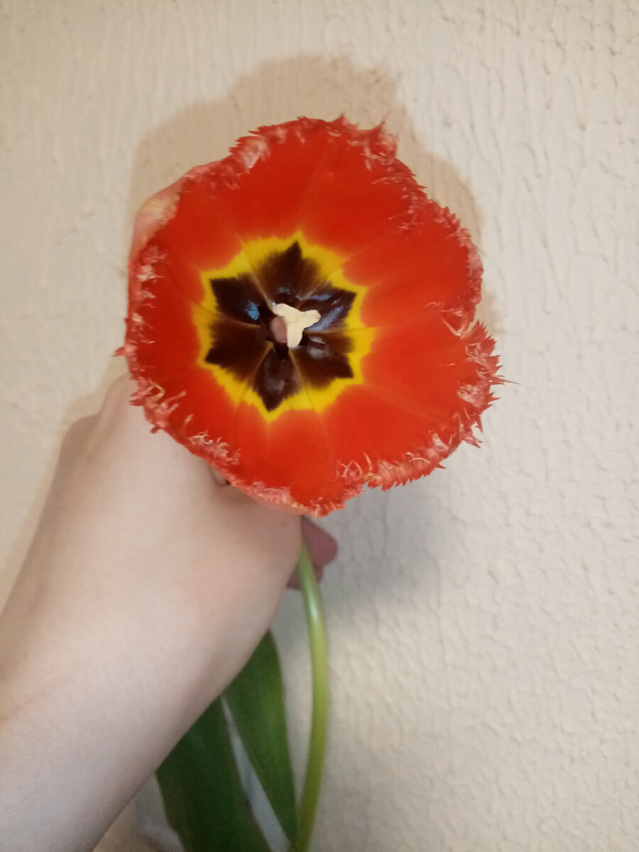 фото принадлежит автору канала