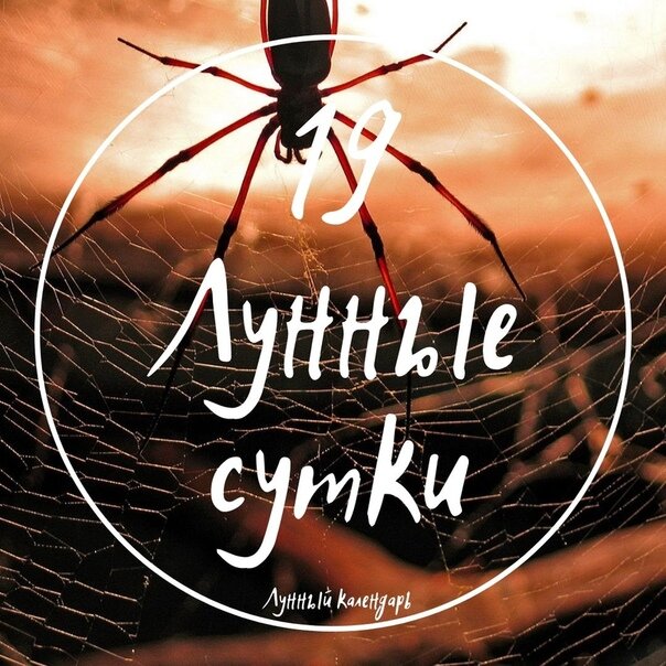 19-е лунные сутки 🌘 с 19,05,2022 с 00:23 по 20,05,2022 до 1:21 🌘 Несчастливый, даже опасный день. День одиночек. Если у Вас есть возможность, этот день лучше провести дома, так как активизируются негативные для человека энергии. Новых знакомств сегодня лучше не заводить, человек которого вы встретите, может оказаться тираном. Это день обольщения. Поэтому рекомендуется очиститься от: гнева, гордыни, зависти и злости. Хорошо простить кого-то из своих врагов. В 19-е сутки, необходимо максимально осторожно обращаться с полученной в этот день информацией.


Она может оказаться обманчивой, обольстительной.День очищения через воду и огонь. Рекомендуется принимать контрастный душ, он поможет снять часть негативной энергетики. А в течение дня хорошо прожигать белую или церковную свечи. Если вы сегодняшний день проводите на рабочем месте, возьмите с собой кусочек хризолита или поставьте на стол фигурку из гематита (кровавика), эти камни помогут вам оградиться от негативного влияния суток.

Убывающая Луна в Водолее