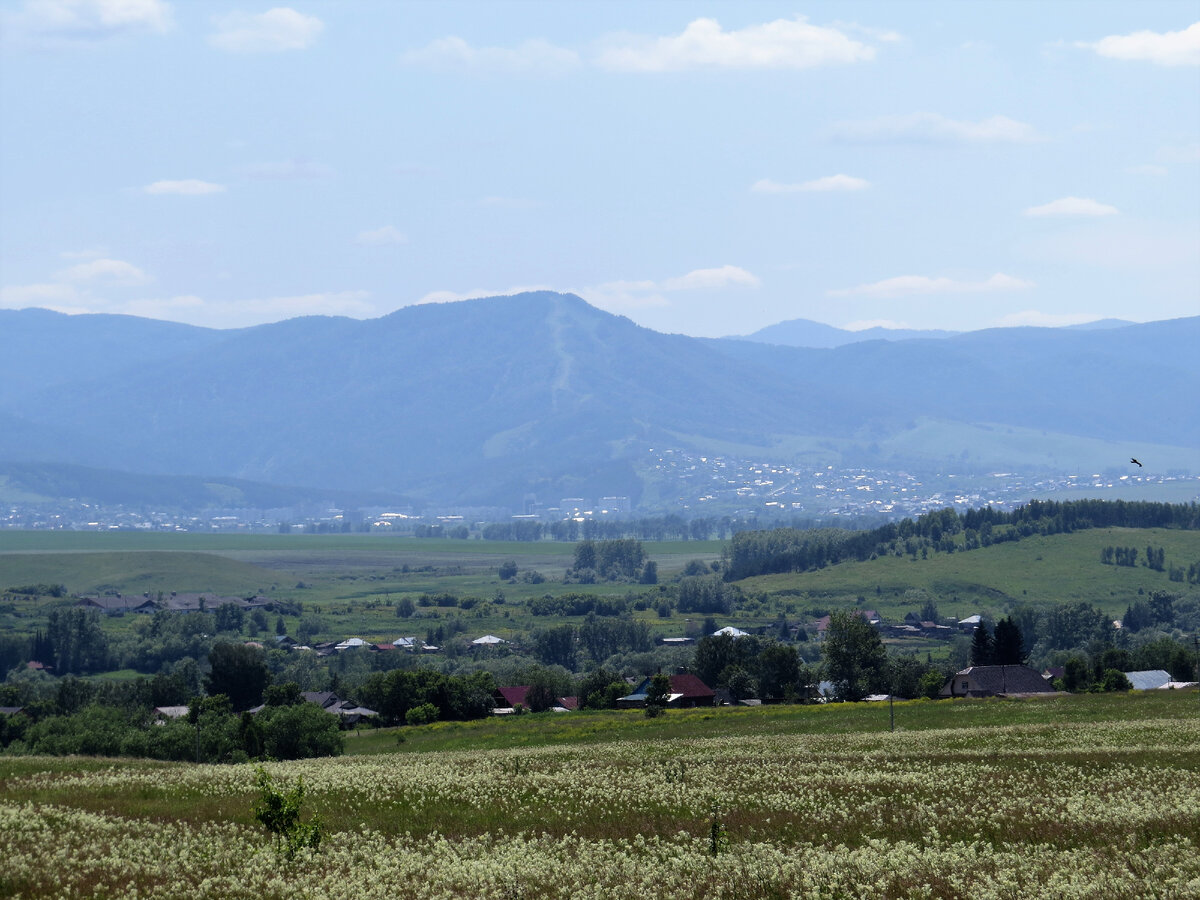 Село в предгорье Алтая...
