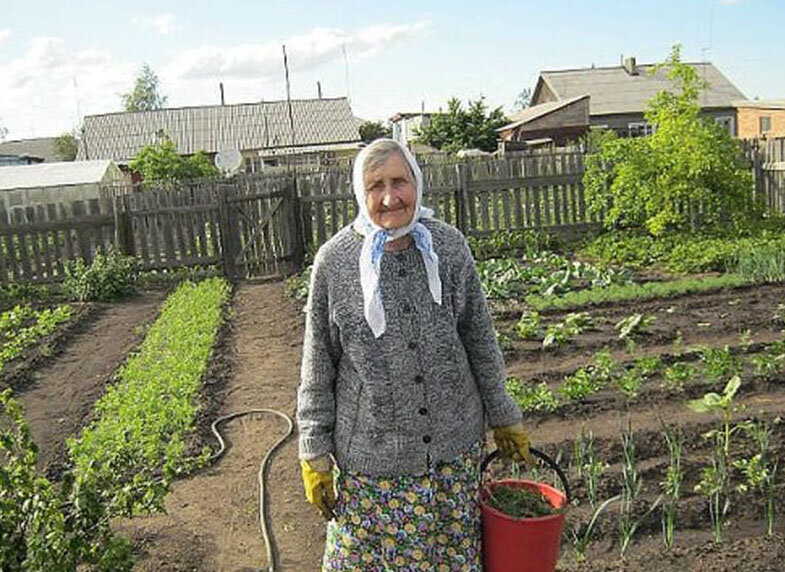 Картинка бабка в огороде