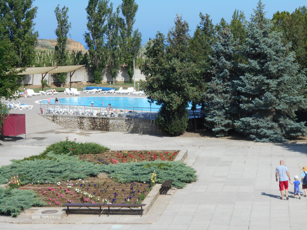 территория