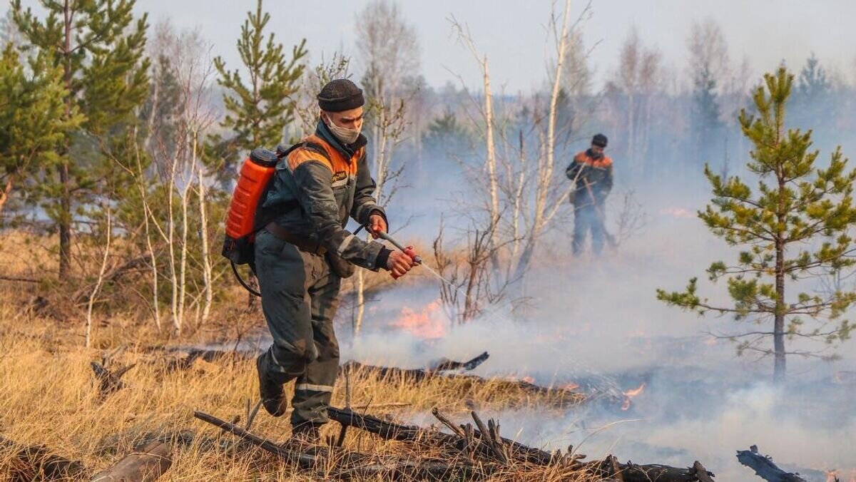    Сотрудники МЧС тушат лесной пожар в Курганской области© РИА Новости / Пресс-служба МЧС по Курганской области