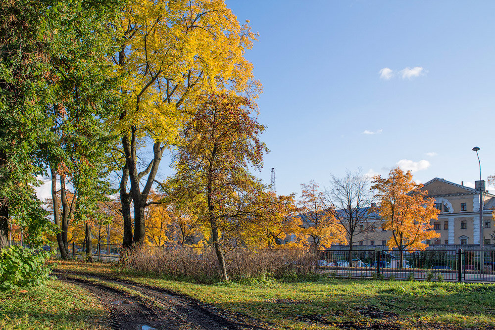 Буйная осень. Осень Золотая в Дзержинске Нижегородской. Золотая осень в Березниках. Березники осенью. Город Дзержинск осенью.