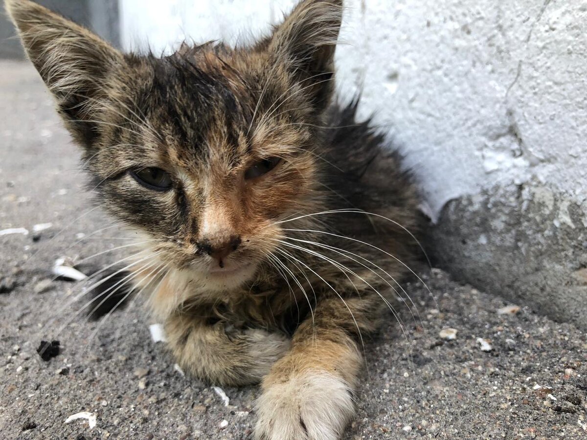 Сонечке месяц. День нашей встречи случайной.
