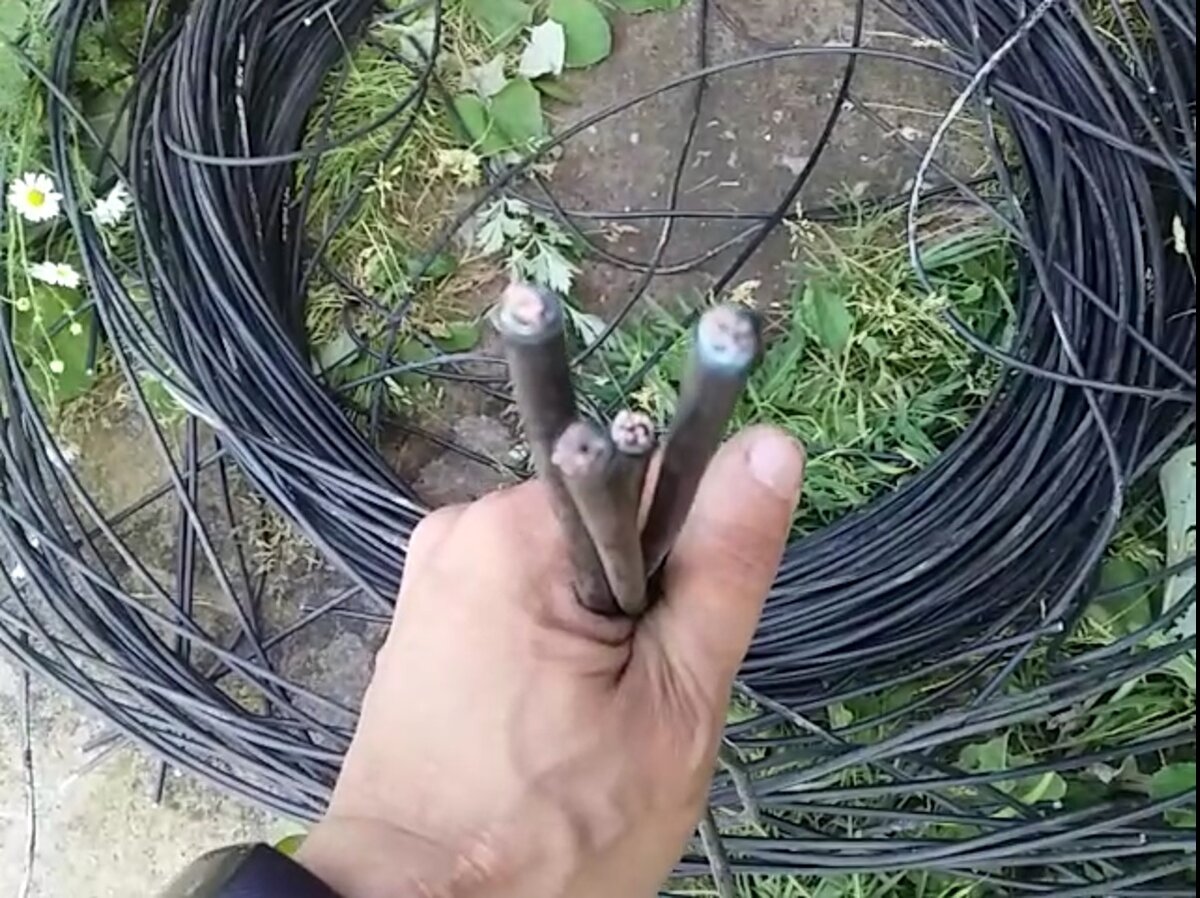 Кабель от ЛВС.