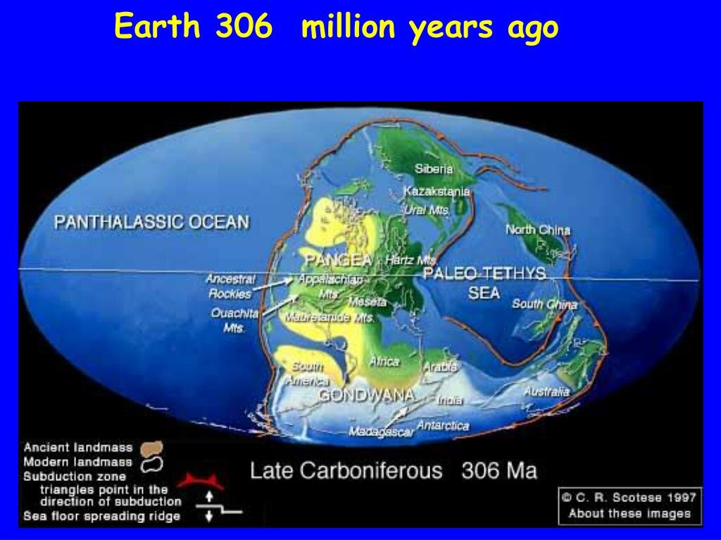 Картинка из сети для иллюстрации статьи