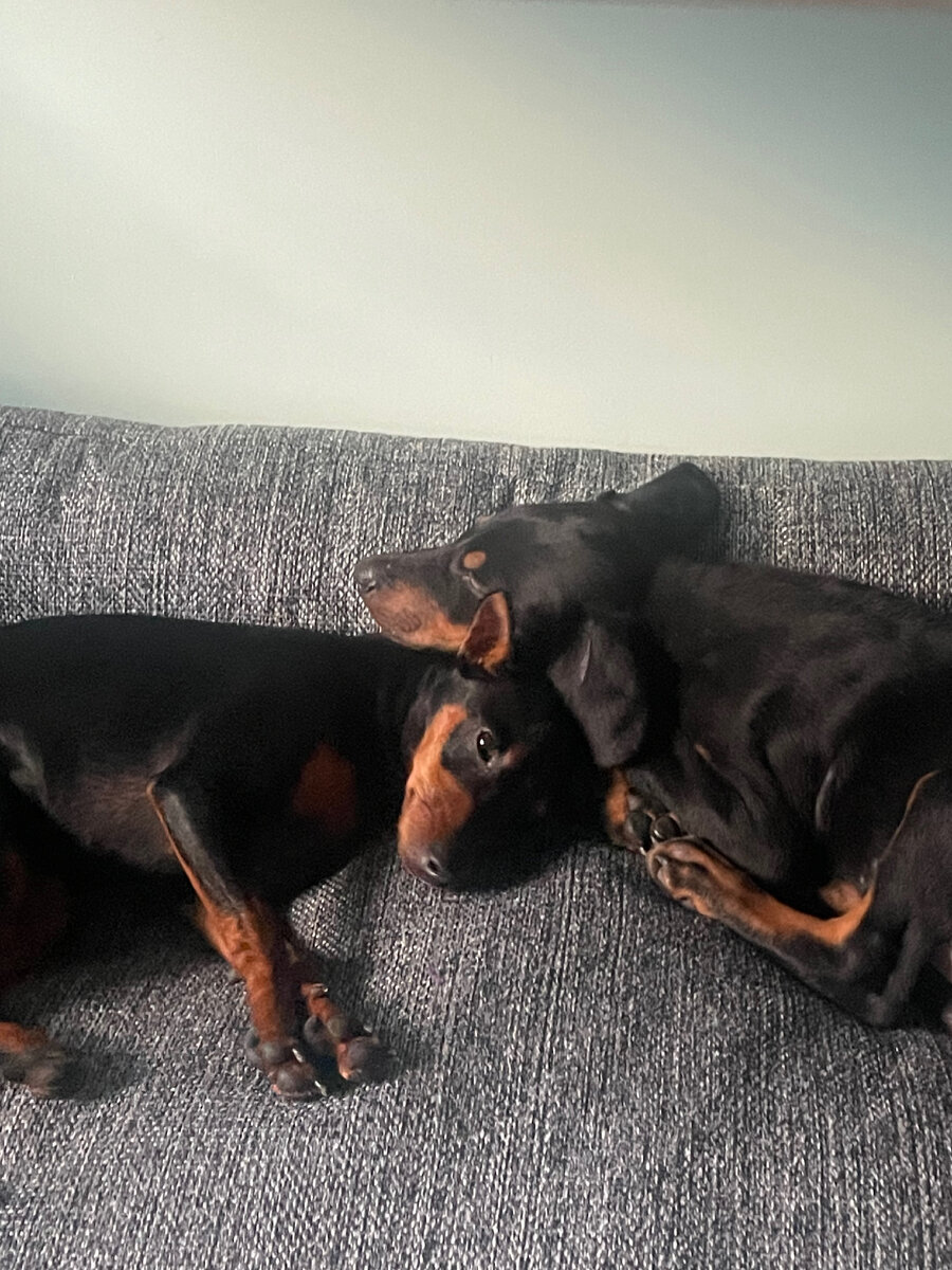 Уставшие дети