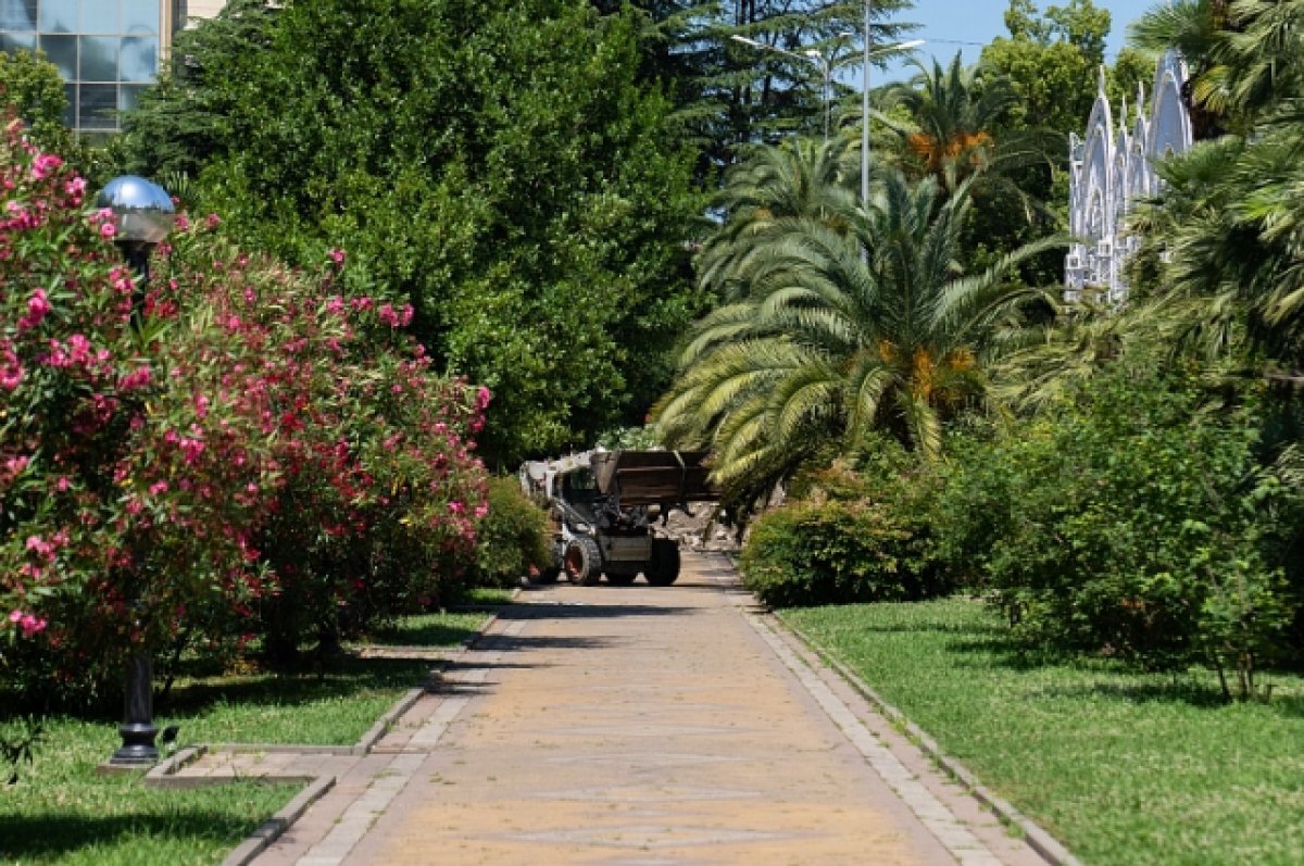    Российская молодежь для отдыха выбирает Сочи, Анапу и Геленджик