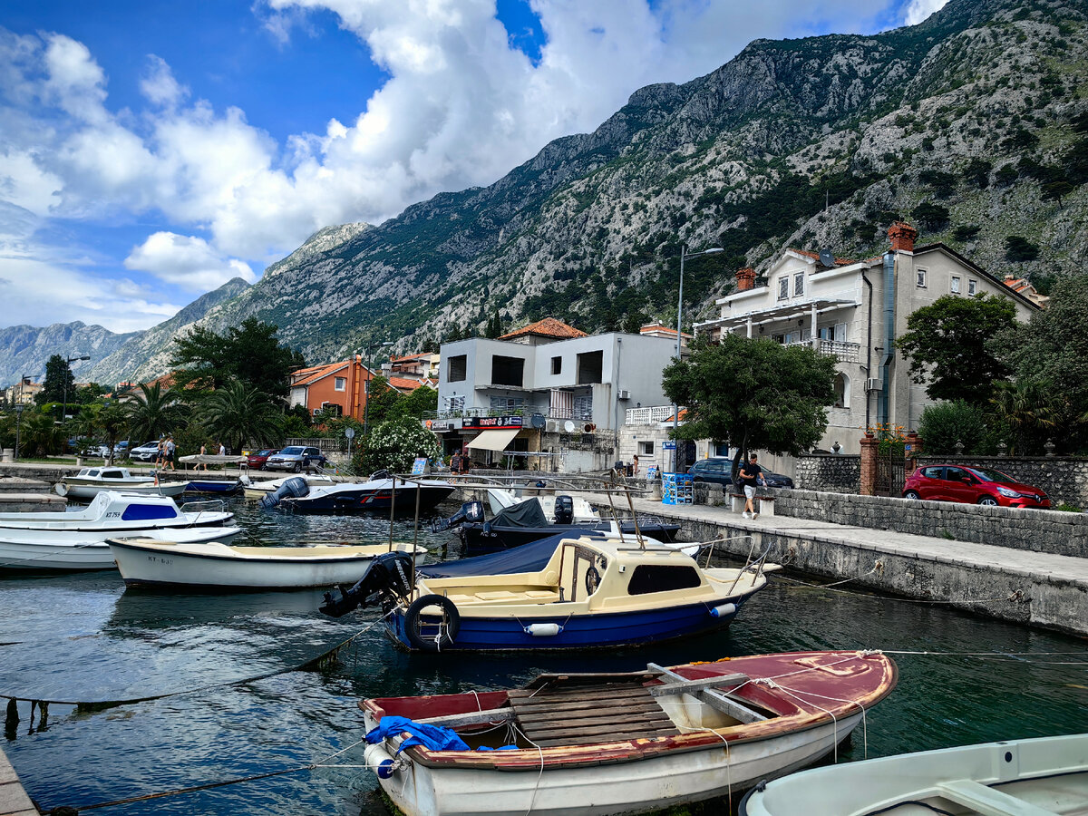 Настоящие страсти разыгрываются на живописных берегах Адриатики 