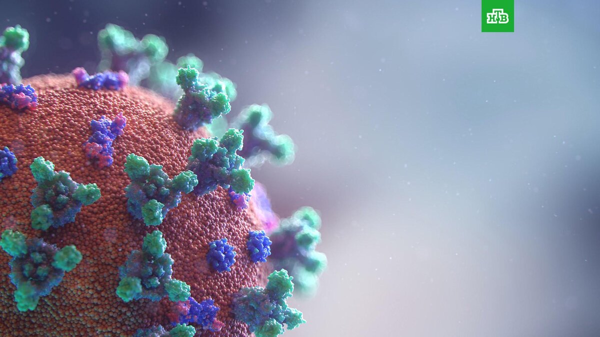    Фото: Fusion Medical Animation / unsplash.com