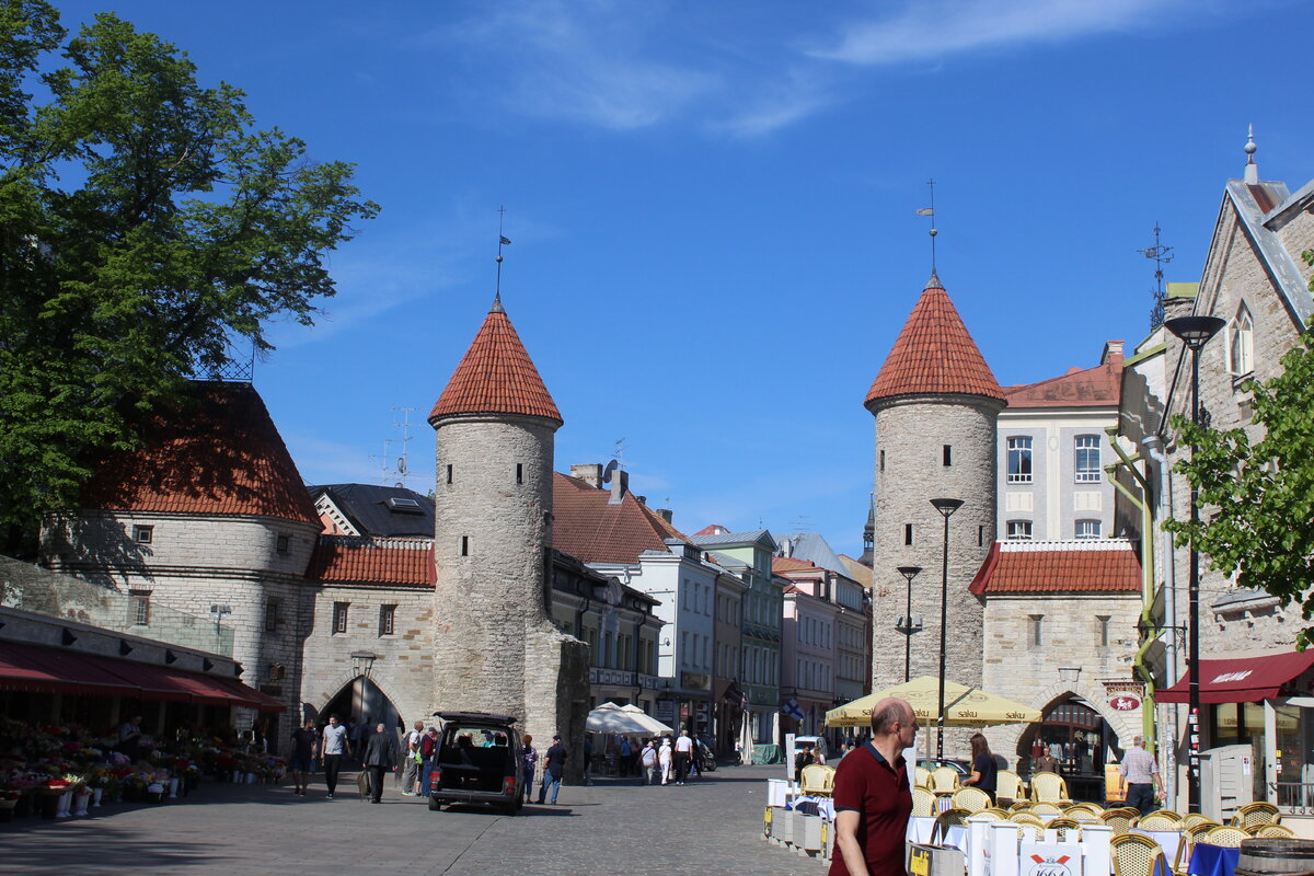 Фото автора.