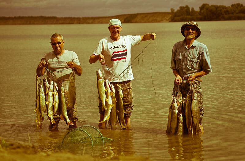 Фото Д. Богачев