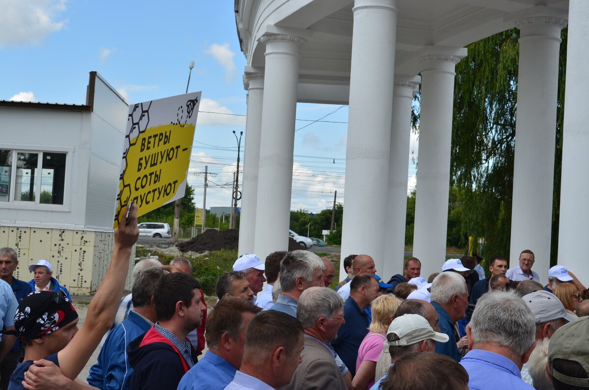 Митинг пчеловодов в Курске