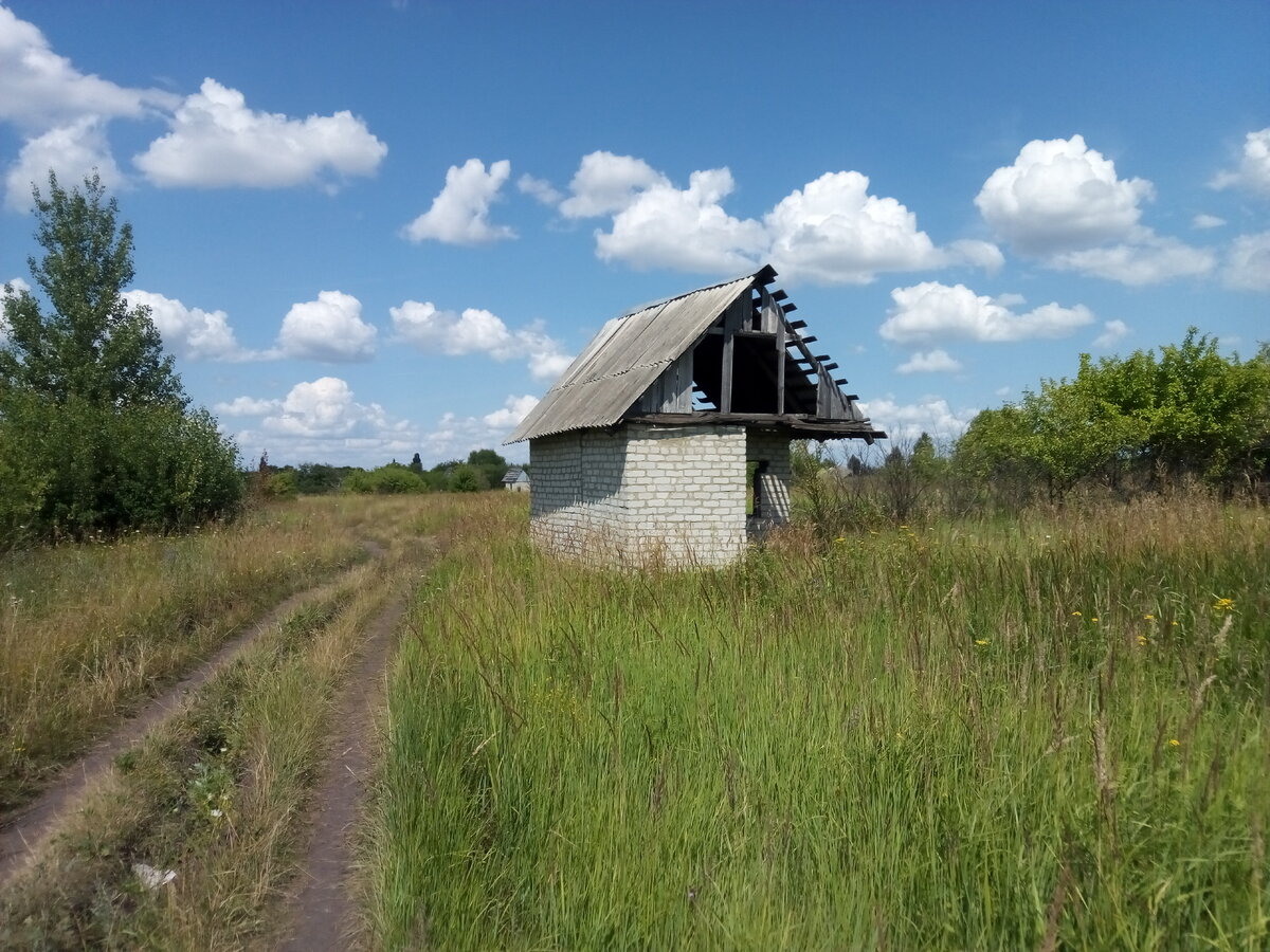 Фото заброшенного участка