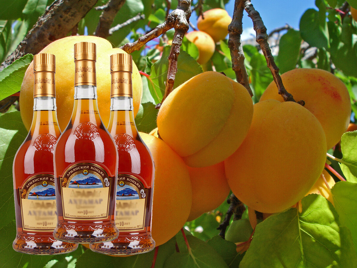 Чрезмерное употребления спиртных напитков вредит вашему здоровью