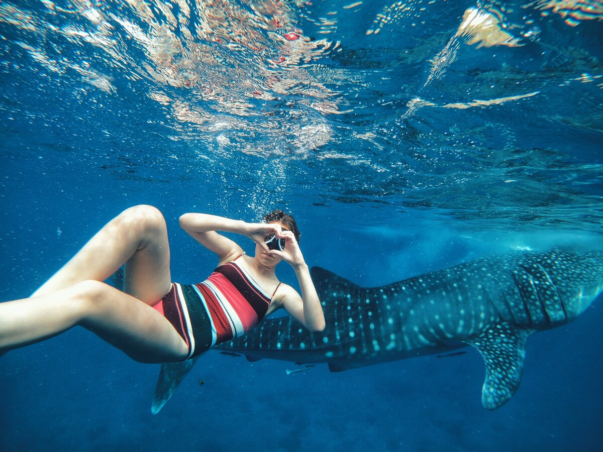 На акул можно просто посмотреть с лодки, поплавать рядом с маской или погрузиться с аквалангом.