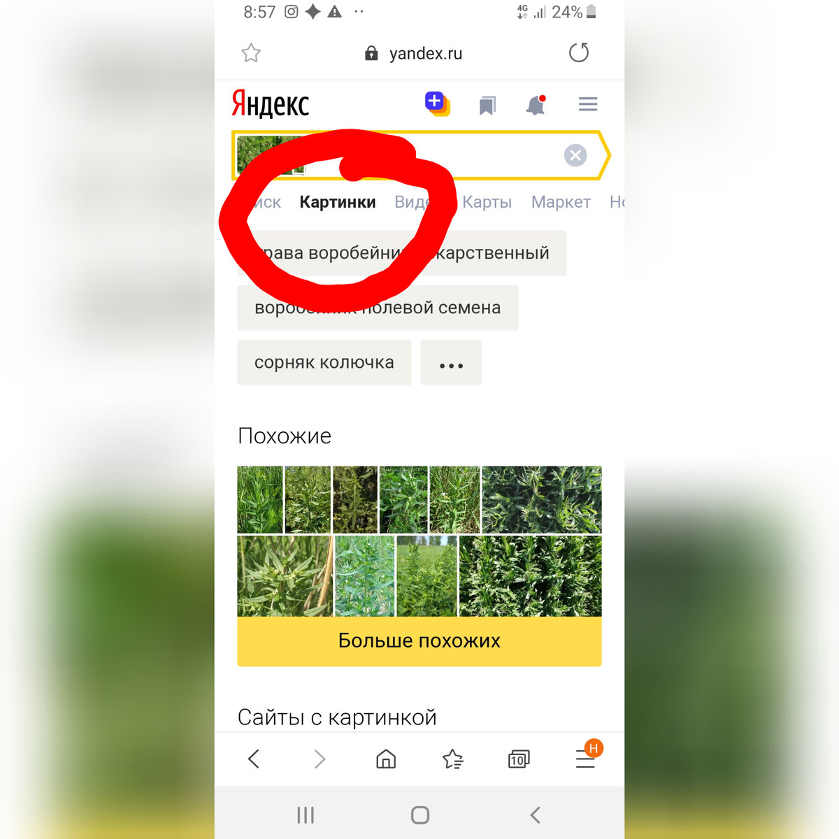 поиск по фото в яндексе через телефон