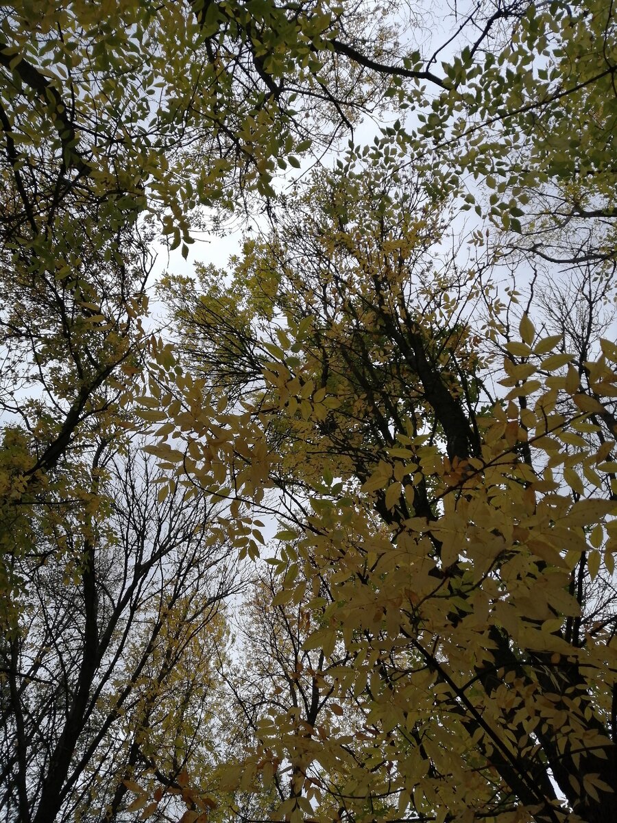 Эта фотка с моей утренней пробежки