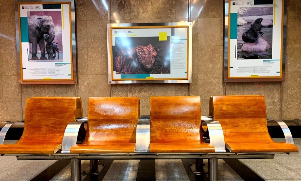 Выставочная галерея на станции метро "Выставочная"