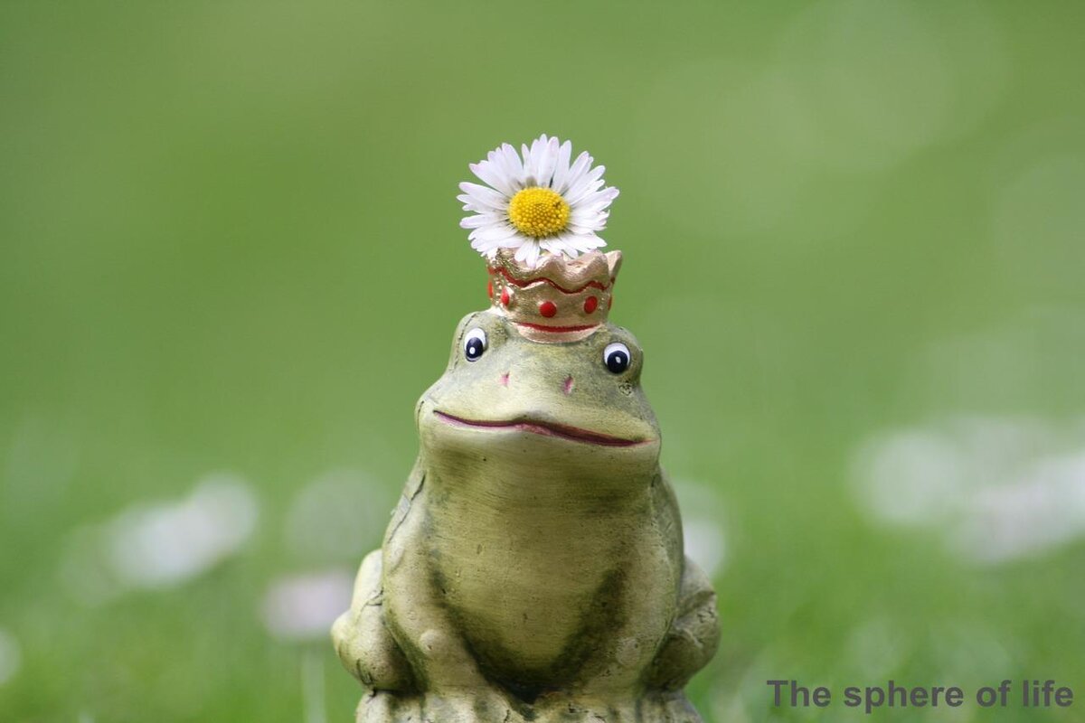 image by Kranich17 from Pixabay