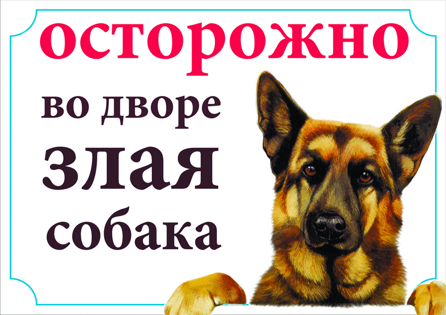 картинки яндекс