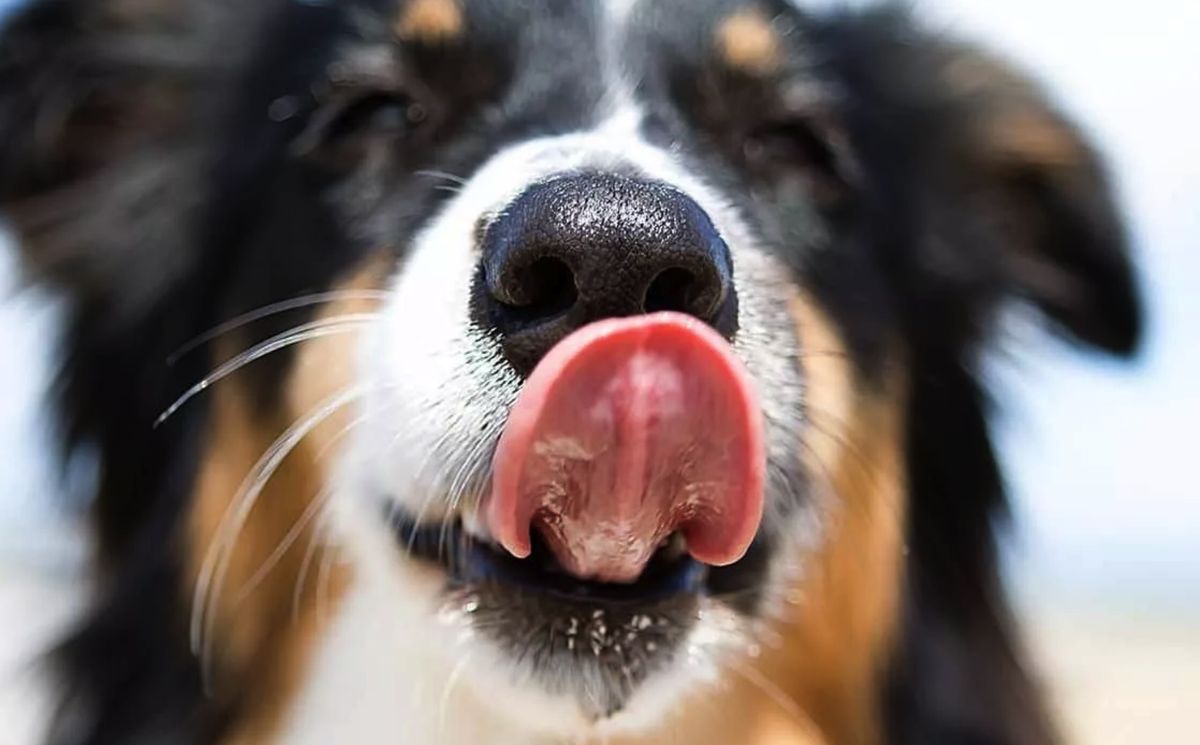 Фото из открытых источников на Яндекс.картинки