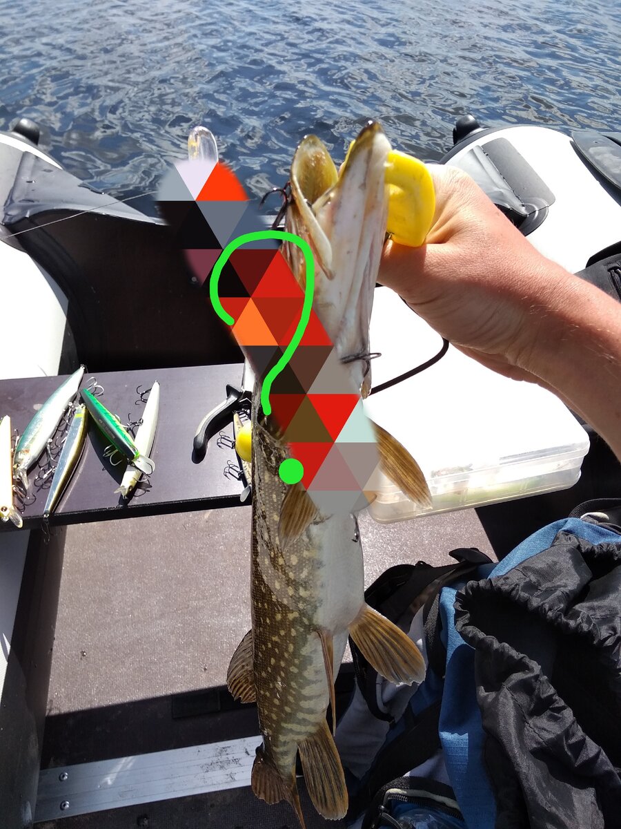 Интересно, кто-нибудь угадает что это за воблер?)