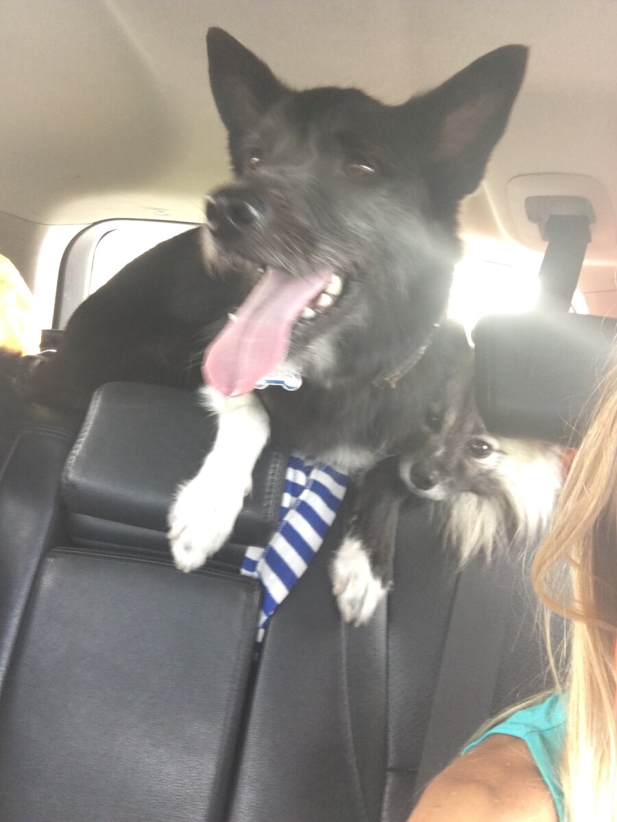 Наши малыши💜