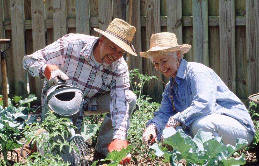 Лето на даче         фото Яндекс