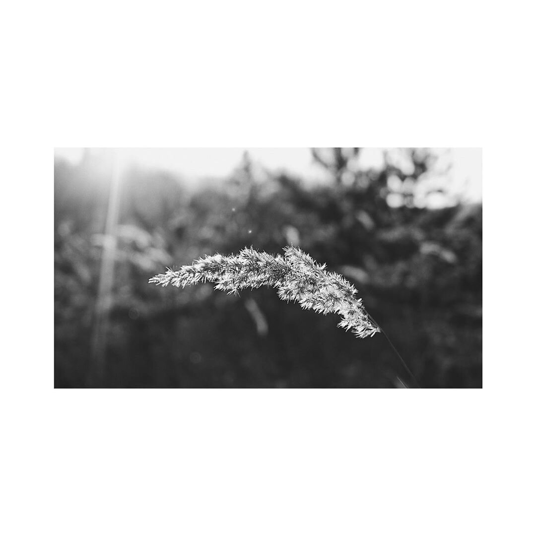 Фотография собственность автора 