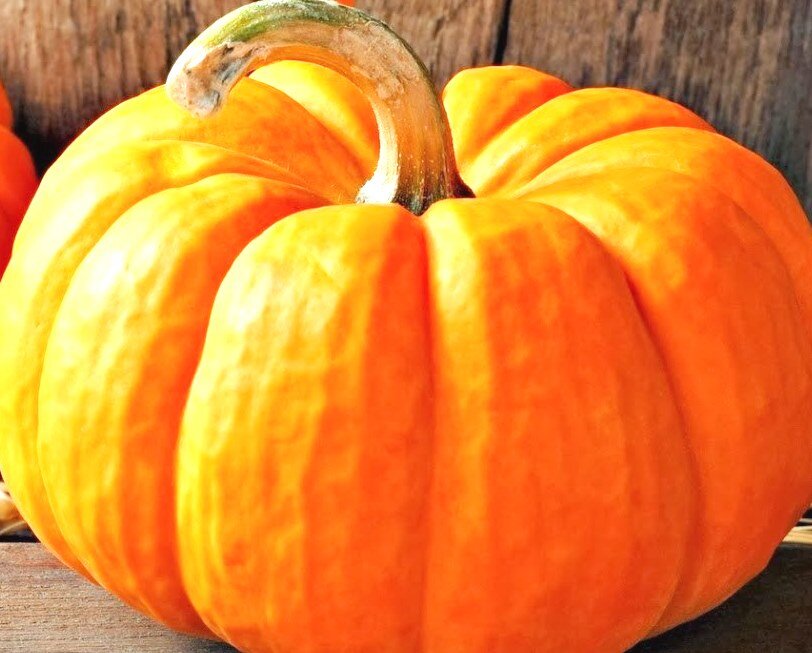 Тыква с огорода